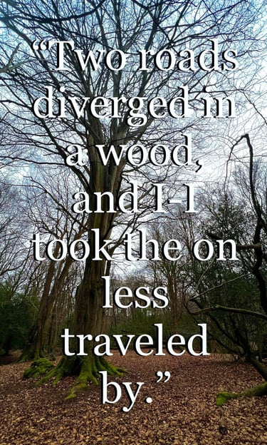 picture of nature with qoutes to keep you inspired on your road trips and adventures