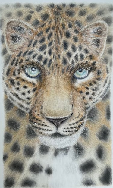 Leopard