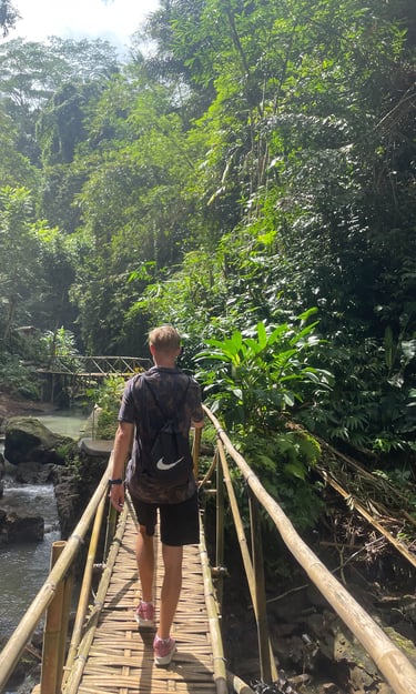 Droga na wodospad Bali