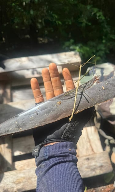  akwaform voyage france guadeloupe