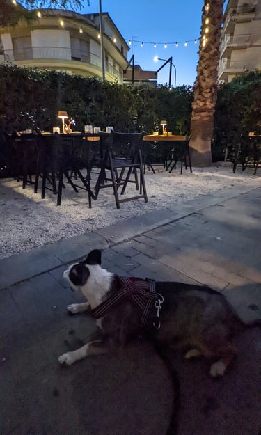 Affitta Dammuso del 1910 a Ragusa Centro Storico