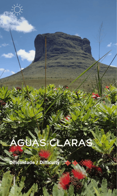 aguas claras