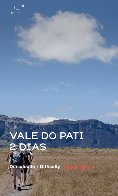 Pati 2D