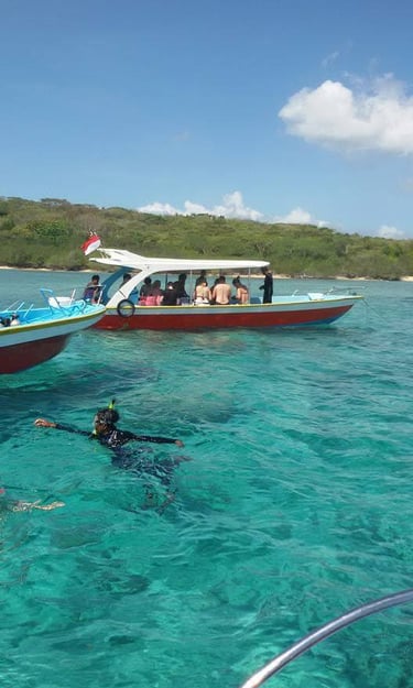 Family snorkeling at Lovina Reef in clear water with colorful fish around – Sunrise Dive Bali