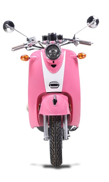 ZNEN Wolf Islander Pink