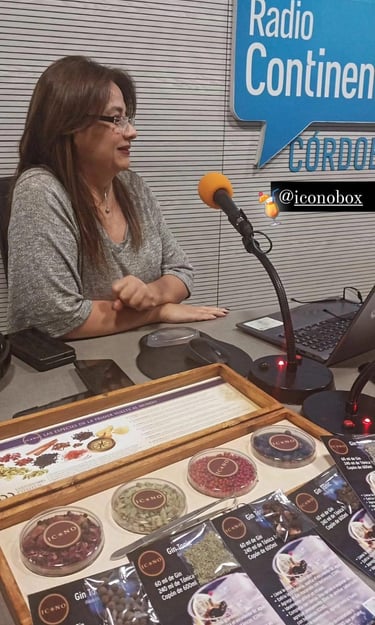 En RADIO CONTINENTAL, en Córdoba capital, durante una entrevista en el programa  Mas Vinos que Nunca