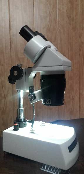 #STEREO MICROSCOPE