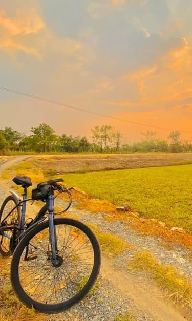 Bicycle path through morning glory fields at sunrise near Saigon Garden Homestay.