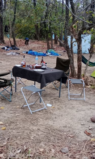 picnic in Bardiya park