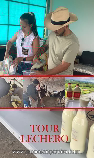 lugares baratos para visitar en Pereira