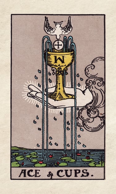 The Fool Meets the Ace of Cups