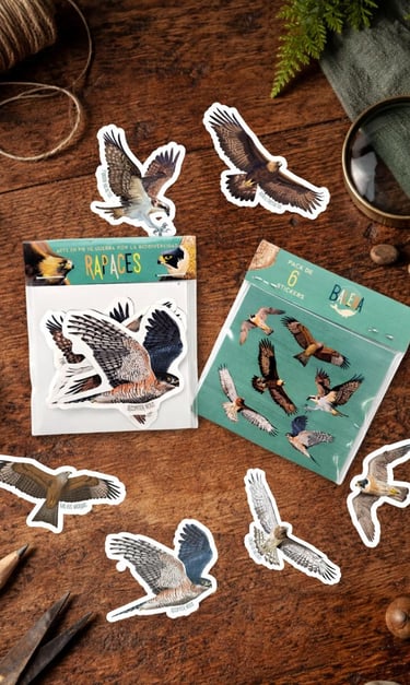 stickers aves rapaces pegatinas