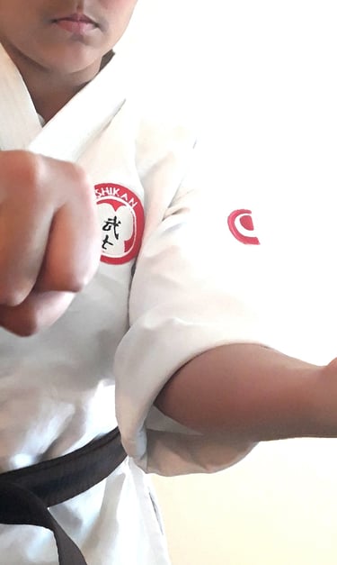 Okinawan Bushikan International dojo martial arts training session