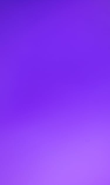 Hirloye Digital Marketing for Meta Ads and Google Ads