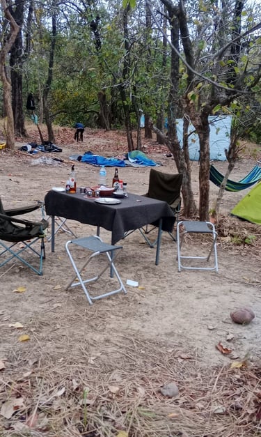 picnic in Bardiya park