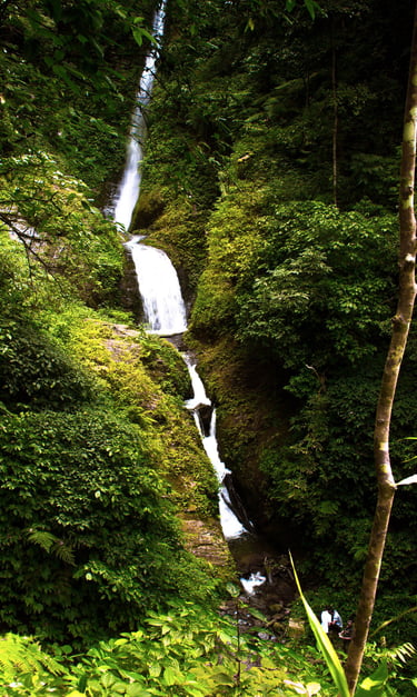 Tam Falls, Kagay Gerock