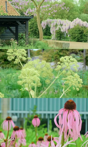 Naturalistic perennial garden inspired by Piet Oudolf with seasonal textures, grasses and flowing pl