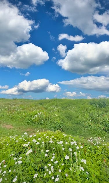 Miranjani peak in summer 