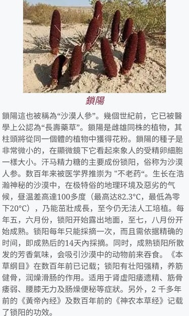 a page in a chinese magazine with a picture of a bunch of flowers