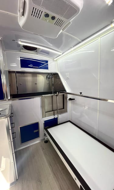 Professional grooming table and stainless steel bathing tub