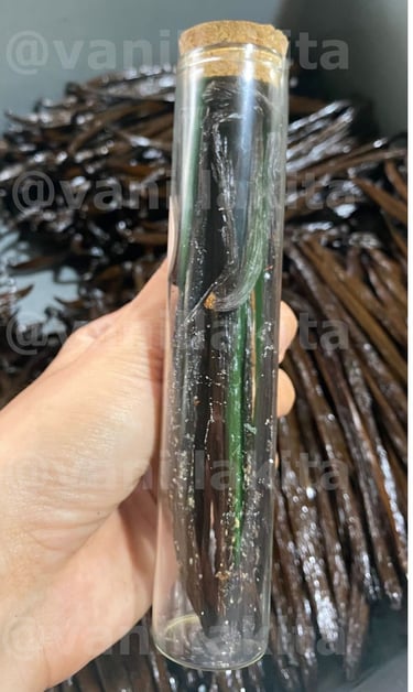 Crystalized frozen vanilla beans in a jar on hand