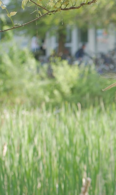 Sprecherin Vanessa Strauch - Fotocredits: Fabian Merks