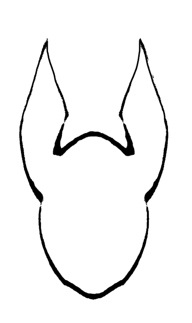Anubis BioConsulting logo