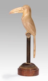 Armand Petersen - Toucan sur perchoir