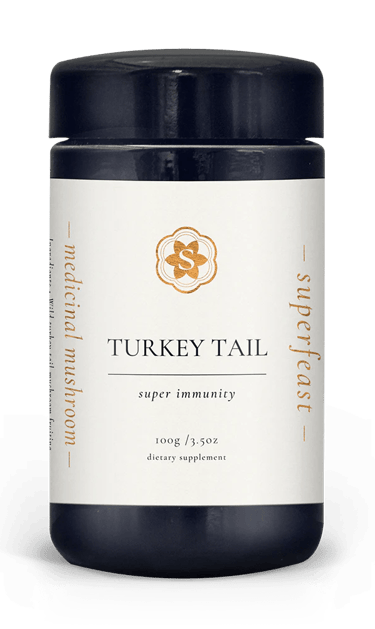 turkey tail medicinal mushrooms