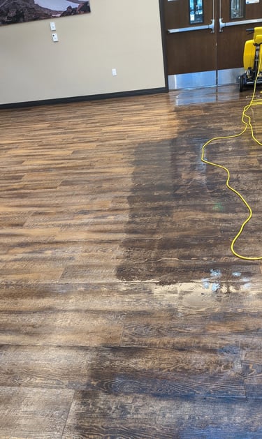 LVP floor cleaning in Olympia