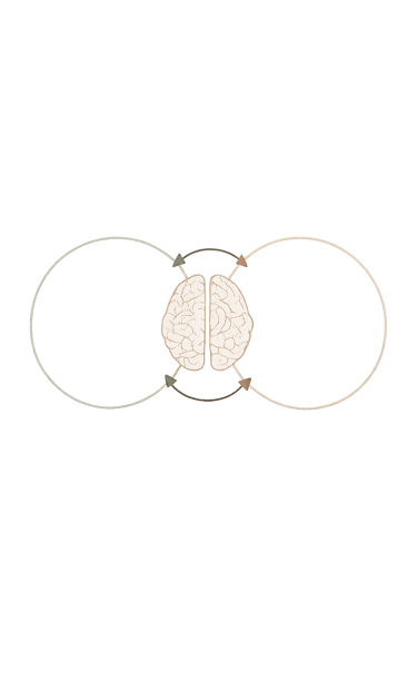 Illustratration qui représente le fonctionnement du cerveau