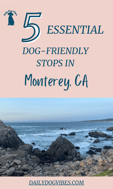 dog friendly monterey ca
