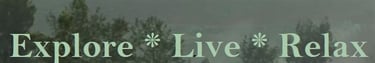 Explore, Live, Relax While Shopping Online Deals