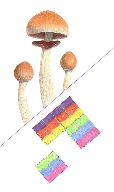Psychedelics illustration
