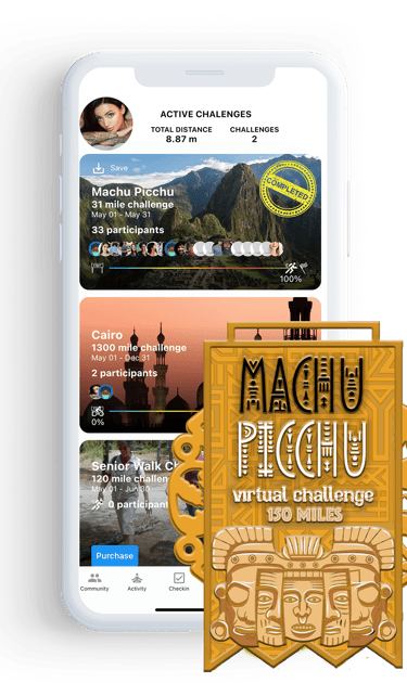 virtual challenge -  Machu Piccu