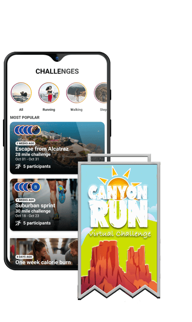 virtual challenge -  Grand Canyon