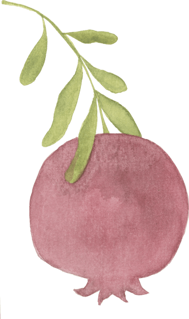 pomegranate drawing on a stem
