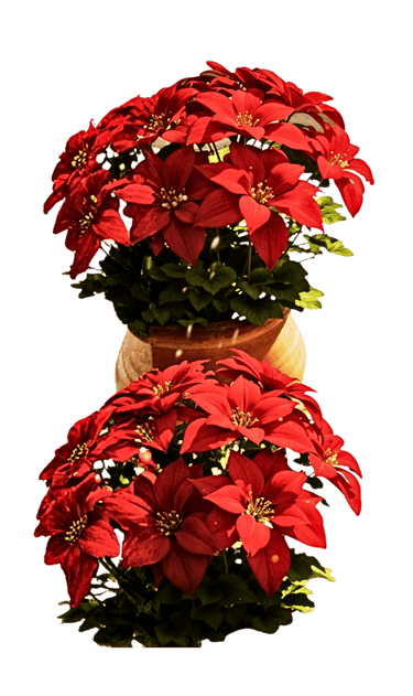 Pascueros #SomosBarrio