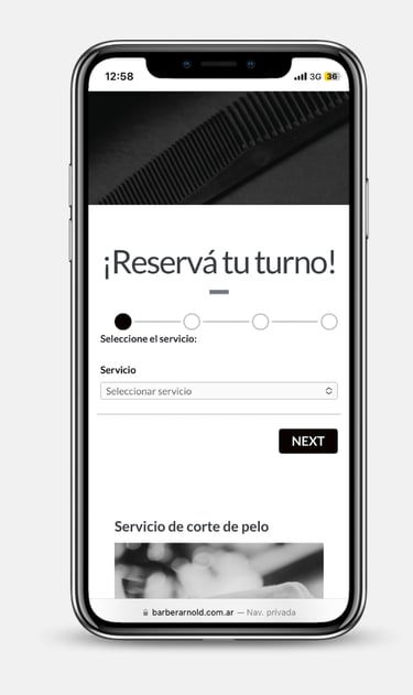Web turnos