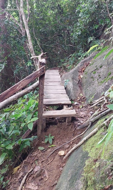 thailand khao lak lam ru hat lek nature trail