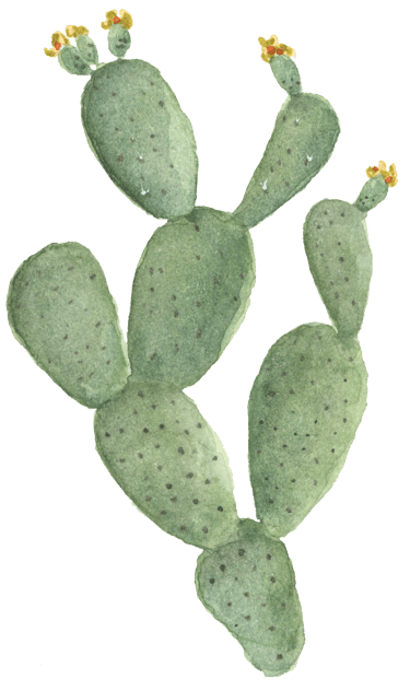 watercolor cactus