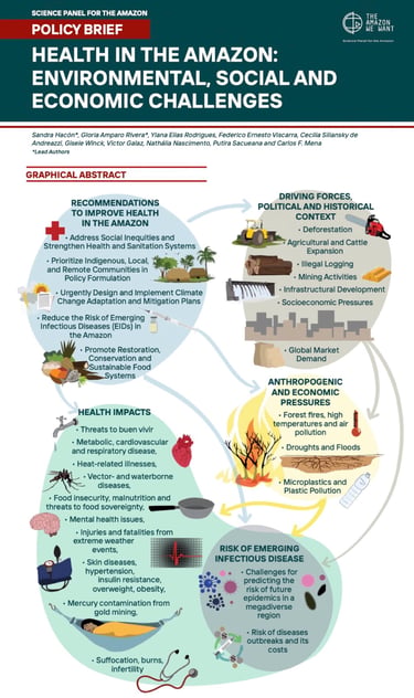 Infographic showing health challenges in the Amazon, including environmental driving forces and health impacts.