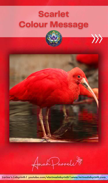 Colour message: Power of Scarlet Red. Colour Healing, Color Healing