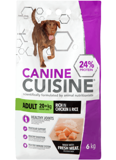 Dogs with sensitive stomach
