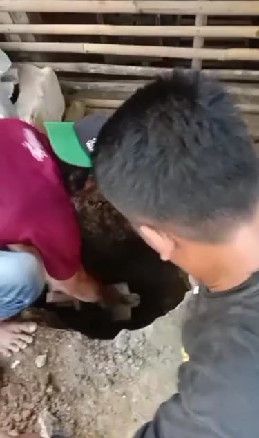 foto-pekerja-sedot-wc