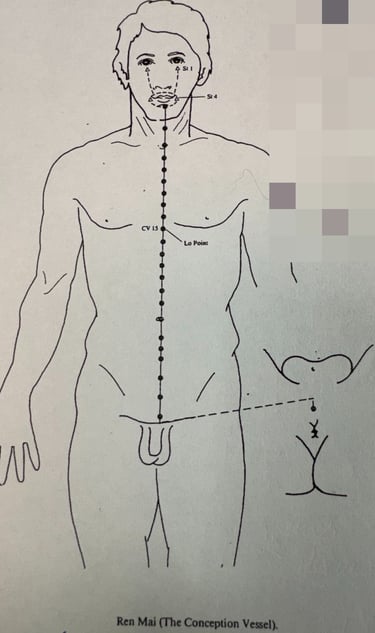 “Ren Mai (Conception Vessel): the yin ancestry of connection and bonding.