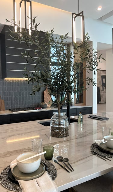 Kitchen Counter in florida house