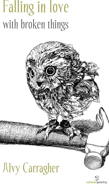 Book cover for Falling in Love with Broken Things by Alvy Carragher featuring a sketch of an owl on a hammer.