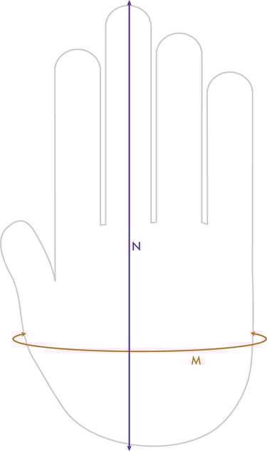 Illustrated hand showing measurement placement for custom made leather gloves.