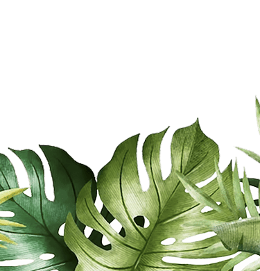 Slogan SuperMoustique “Des moustiques ? On s’en charge !”